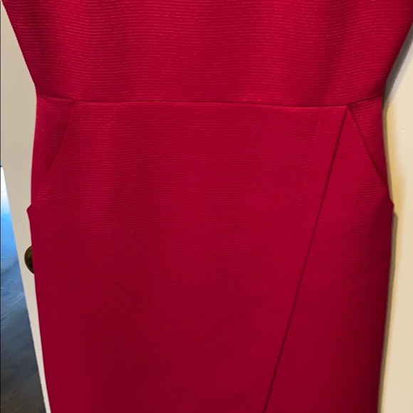 Raspberry Dress - Picture 2 of 3